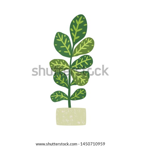 Codiaeum variegatum. Houseplant with potted. Vector illustration