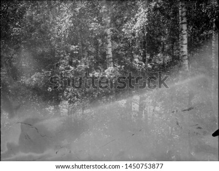 A real, black and white large-format spoiled photo with dust and scratches. Glass photographic plate with scratches, dust, dirt, out of focus image.