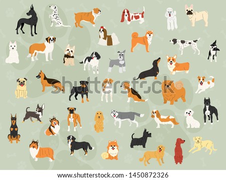 40 dog breeds illustration background
