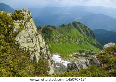 Valley among majestic rugged mountain hills and peaks covered in green lush grass, forest, snow leftovers rhododendron flowers. Sunny cloudy day in summer. Marmarosy Carpathian mountains Ukraine 