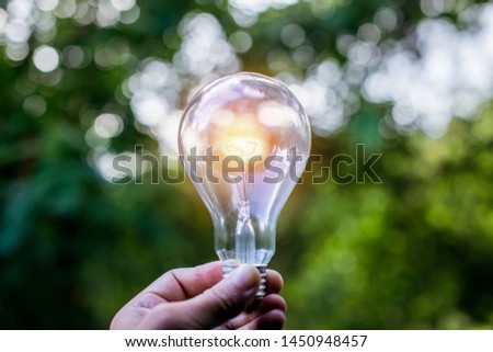 Light bulbs that grow in the concept of energy in nature