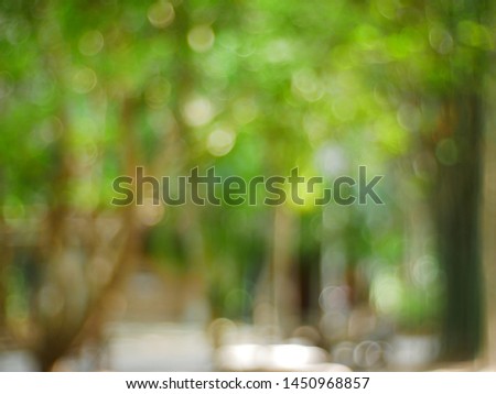 blurred green nature background, bokeh light background
