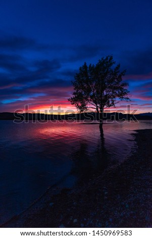 sunset with incredible colors on a lake with the silhouette of a tree