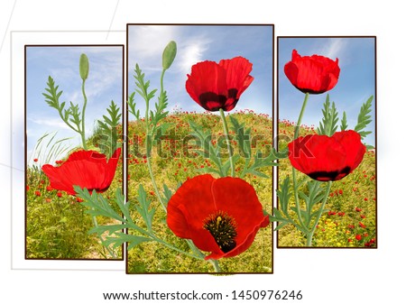 <ig red poppies pictures create a sunnu mood.Bridht spring dau with poppies ona modular picture.