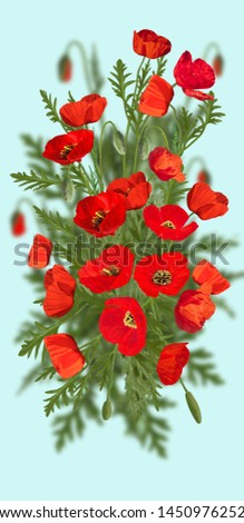Sprind beatiful wild flowes preserved in the photo the sunny beayty of nature.A bouguct of red poppies is beatifullu scen on a blue background.