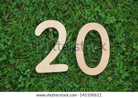 wooden number 20 on grass and clover background
