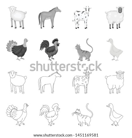Vector design of breeding and kitchen icon. Set of breeding and organic vector icon for stock.