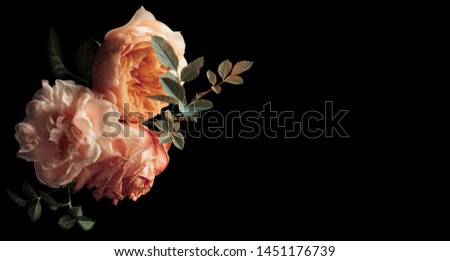 Beautiful bunch of colorful roses flowers on black background. Festive flowers concept. Floral vintage card 