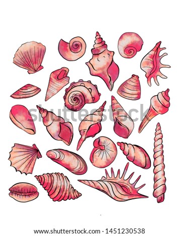 Red seashells of different shapes on a white background. Seashell decoration set on white background. Mussel natural sea isolated graphic art. Aquarium decoration illustration hand drawn sea shells