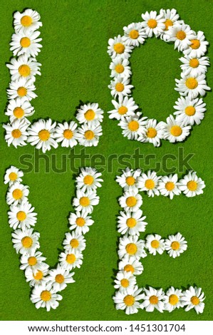 Figure in shape of word love stacked from natural garden daisy flowers with white petal on green grass lawn background in bright summer sunny day. Square frame
