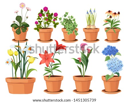 Flowers pot. Nature cartoon vector illustration of flowers and leaves beautiful collection. Blossom plant, botanical flowerpot Royalty-Free Stock Photo #1451305739