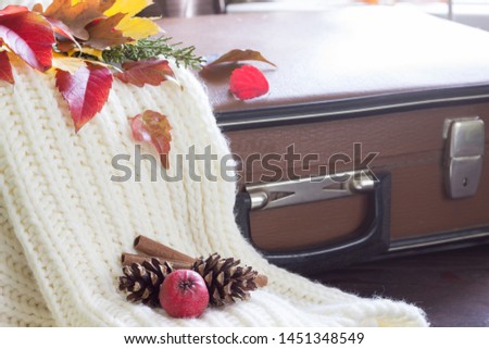 Autumn lifestyle.Yellow and red  leaves , fruits, cones and warm clothes.Autumn decoration