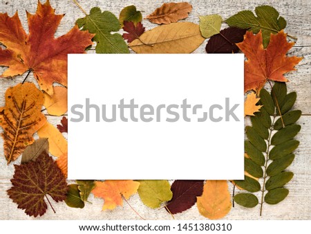 Autumn composition with leaves on a wooden background and white paper sheet with text space