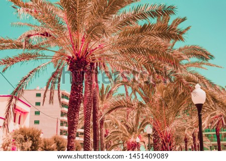 beach hotels and palms in infrared style. Tropical travel concept. Soft light colors. Minimalism