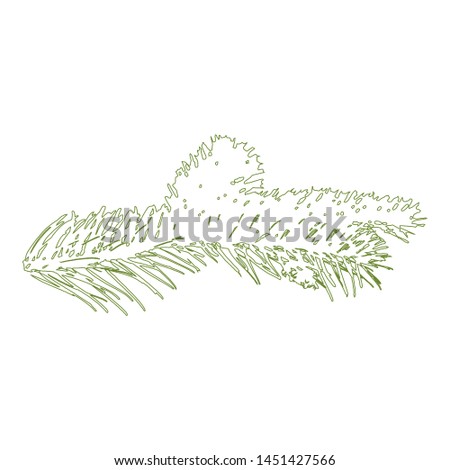 On a white background is depicted a green outline Christmas fir branch, in the vector.