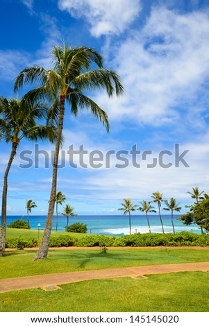 Blue sea and sky and grass