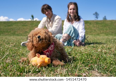 Happy little puppy scratching behind ear. Ginger poodle wears a red bandana around his neck. Against background of dog happily sitting man and woman, indistinct silhouettes.