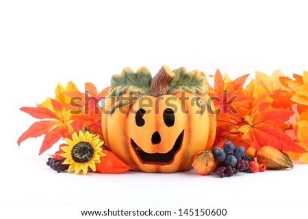 Colorful autumn decorations on white background.