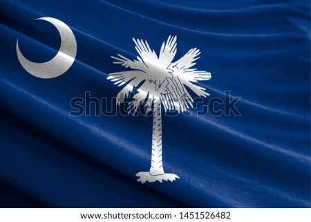 Realistic flag State of South Carolina on the wavy surface of fabric