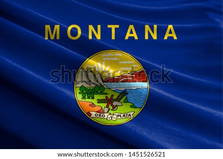 Realistic flag State of Montana on the wavy surface of fabric