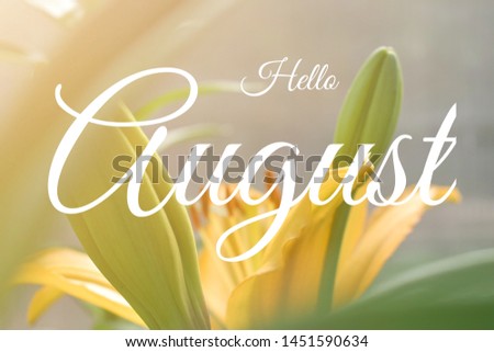 Tex Hello August white letters on the background of a bright yellow Lily flower.