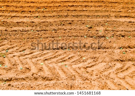 The texture of the brown earth of the sand road with traces of the tire treads of the tractor's car tires. The background.