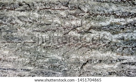 Texture of old gray wood
