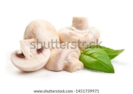 Champignons, close-up, isolated on white background. Royalty-Free Stock Photo #1451739971