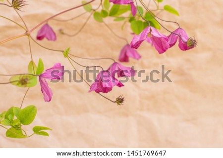 small purple flowers on paper background