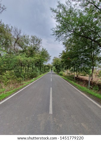 A road with covered trees  Royalty-Free Stock Photo #1451779220