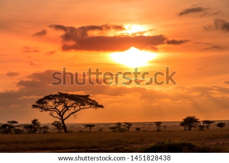 Beautiful sunrise over the plains of the Serengeti, Tanzania
