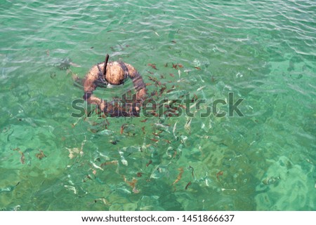                                Snorkel man among fishes in clear tropical sea water. Natural background texture.      