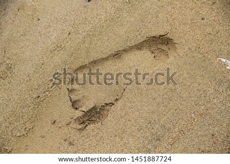 Human feet in river sand