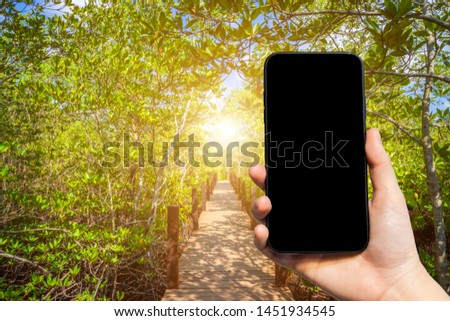 Close-up of female use smartphone blurred images in bridge wooden walking way in The forest mangrove, traveler concept