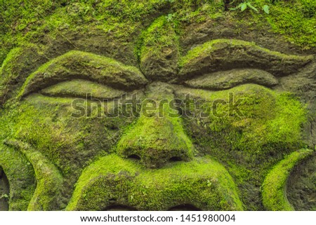 Balinese moss Background traveling to Bali concept