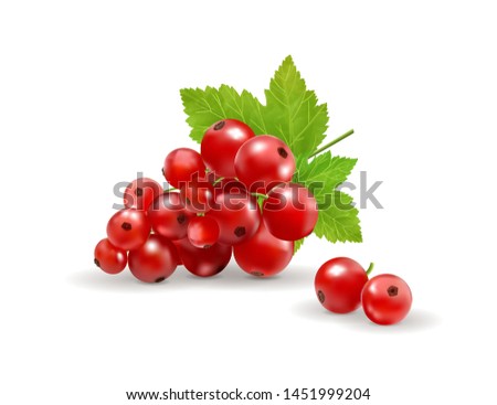 Ripe delicious red currant white background. Vector realistic, 3d illustraton Royalty-Free Stock Photo #1451999204