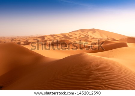 Beautiful sand dunes in the Sahara desert at Morocco Royalty-Free Stock Photo #1452012590