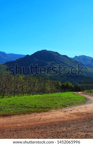 A dirt road, green grass, apple trees, blue sky and mountains in the distance (Villiersdorp, South Africa). A great weekend getaway.