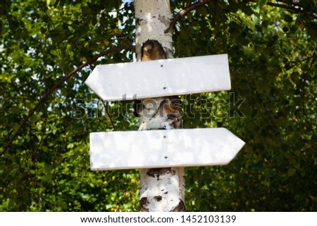 Wooden white signpost (guidepost) on a tree in forest, arrows in left and right direction. With free blank copy place for custom text.
