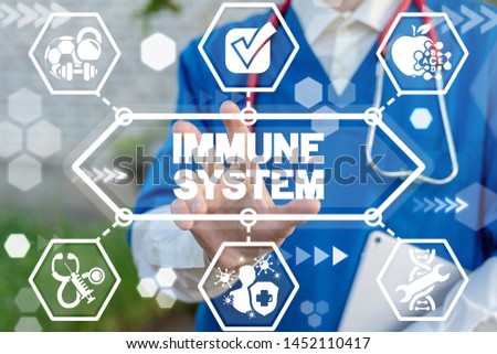 Doctor touches immune system words on virtual display. Immune system modern health care concept. Immunity medical human protection. Innovative immunology. Royalty-Free Stock Photo #1452110417