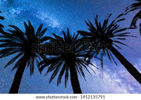 A view of a Meteor Shower and the Milky Way with three palm trees silhouettes in the foreground. Night sky nature summer landscape. Perseid Meteor Shower observation.