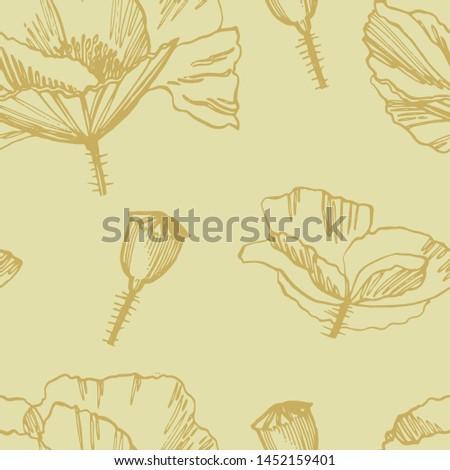 Poppy flowers. Botanical plant illustration. Vintage medicinal herbs sketch set of ink hand drawn medical herbs and plants sketch. Seamless patterns.