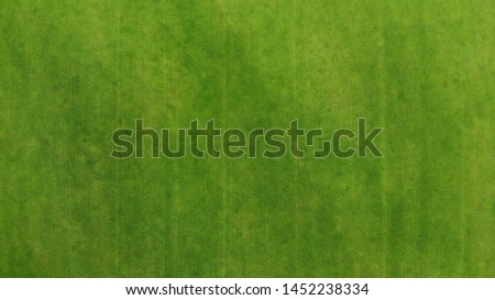 Aerial. Green grass texture background. Top view from drone. 