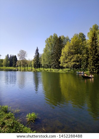Pond in the summer park, green trees and grass Royalty-Free Stock Photo #1452288488