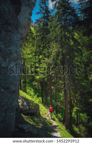 Adventure summer photo, woman walking in beautiful green forest
