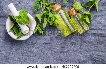 medicinal herbs. mint. Selective focus.