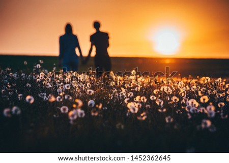 The happy couple on the background of the sunset in spring dandelions field