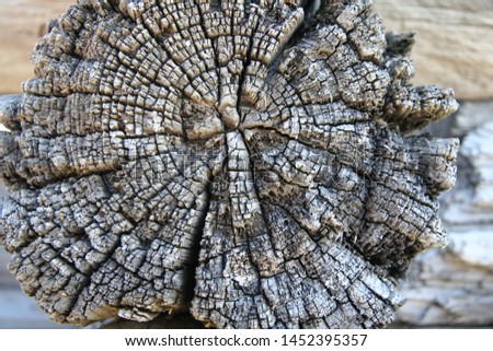 Old saw cut wood texture. Wooden beams, part of an ancient country house. A piece of very old log. Asymmetrical cut of an old tree with annual rings. Detailed rough texture.