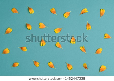 Orange petals on a green background. Top view, copy space. Flat lay