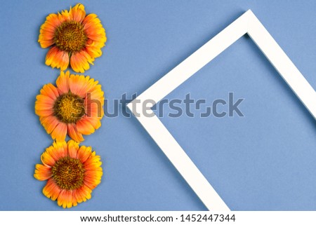Orange flowers, photo frame on a blue background. Top view, copy space. Flat lay